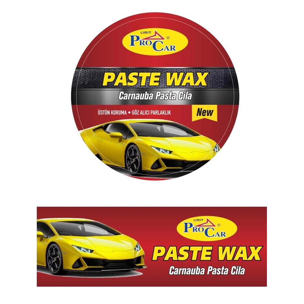 PROCAR PASTA CİLA BOYA KORUYUCU
