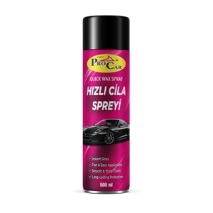 PROCAR AEROSOL HIZLI CİLA SPREY 500ML