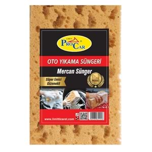 PROCAR MERCAN OTO YIKAMA SÜNGERİ