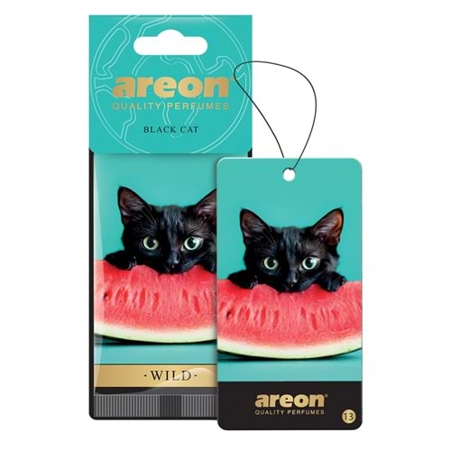 Areon Wild Black Cat
