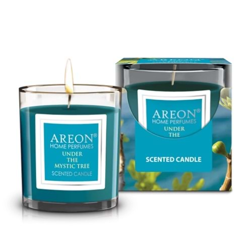 Areon Candles 120gr Under the Mystic Tree